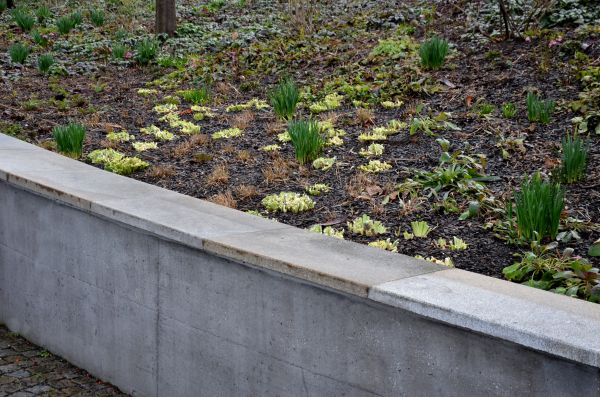 Cost of Concrete Wall Construction in Mooresville