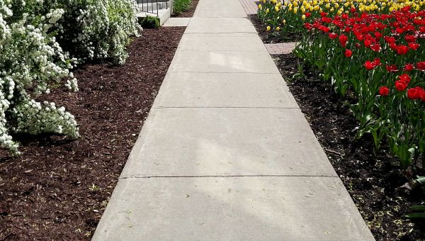 Cost of Cement Sidewalk Installation in Mooresville