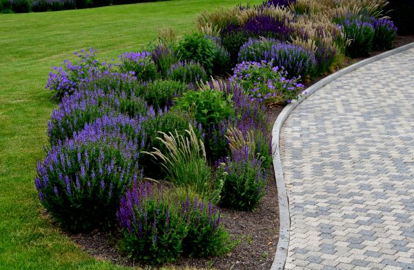 Cost of Sidewalk Curb Installation in Mooresville
