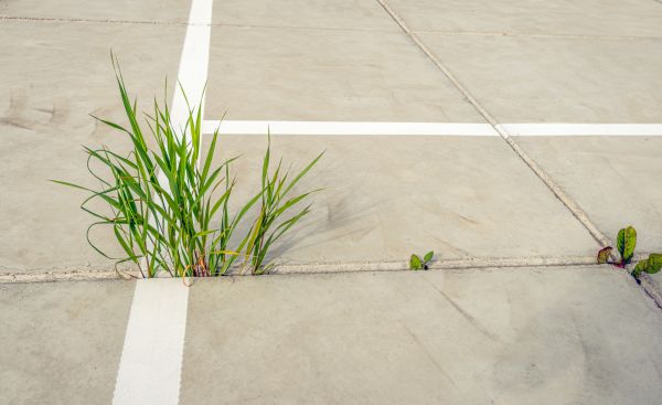 Cost of Concrete Parking Installation in Mooresville
